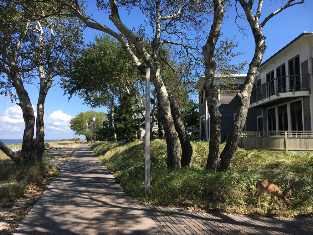 Commercial Solar Nesconset